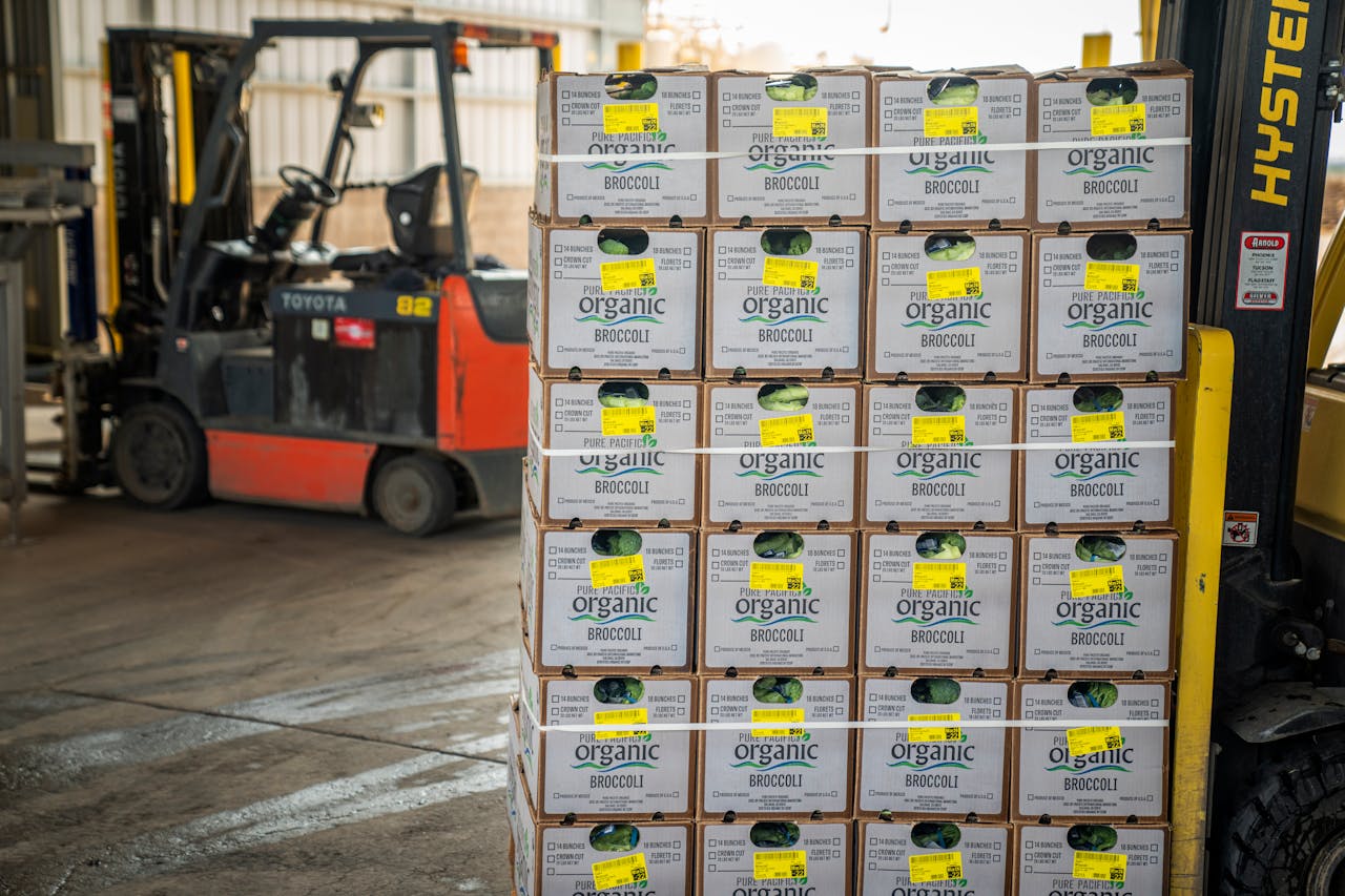 Secure Heavy-Duty Pallets with Steel Strapping